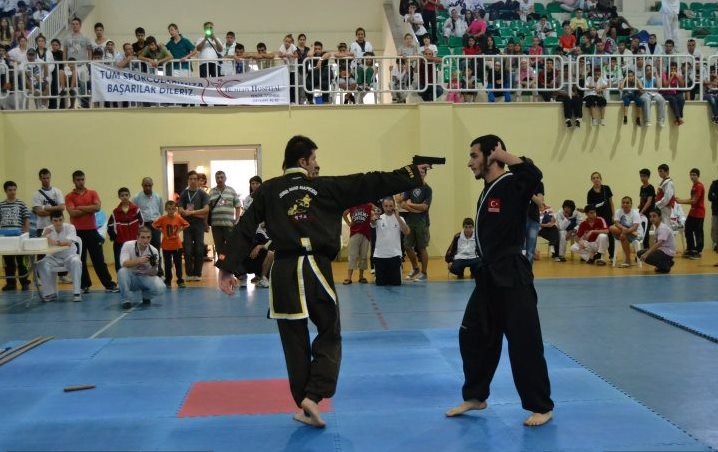 Pendik Belediyesi Taekwondo Turnuvasında Hapkido Gösterisi